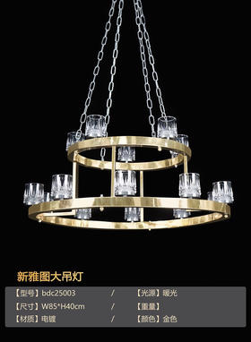 新雅图大吊灯（运费自理）