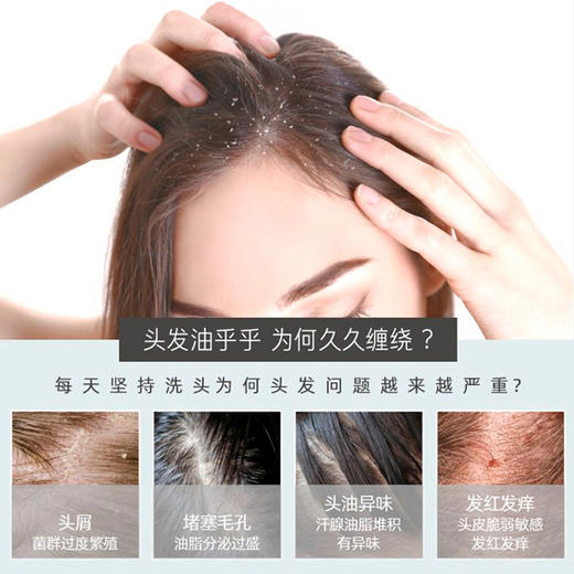 【专属】【买3送1】笙观相沐植护青蒿洗发水 多种植物复配 专利、进口成分  多效合一 长效控油去屑 商品图1