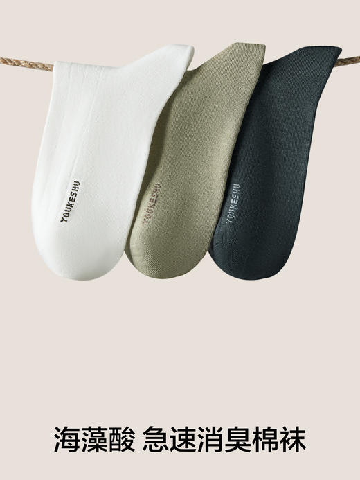 【好奇博士专属】有棵树袜子情侣男女款中筒袜短袜吸汗透气长袜四季款海藻消臭--男款 商品图1