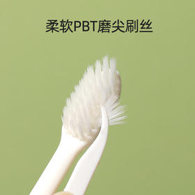 RAOYI护龈牙刷软毛成人家庭旅行装10支装 京东自营 /个人护理 /口腔护理 /牙刷