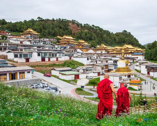 【九色甘南】莲宝叶则•扎尕那•郎木寺•九曲黄河第一湾•若尔盖草原•拉卜楞寺风光人文10天 商品图4
