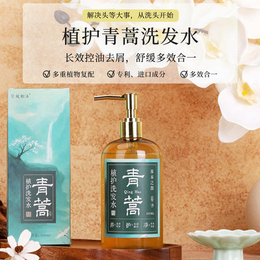 【专属】【买3送1】笙观相沐植护青蒿洗发水 多种植物复配 专利、进口成分  多效合一 长效控油去屑 商品图0