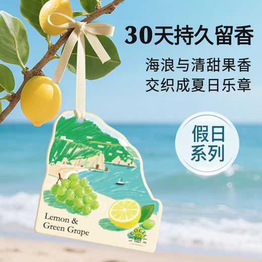 绽家精油香薰片衣柜衣橱专用香氛片家用卧室香挂车载香氛持久留香 商品图1