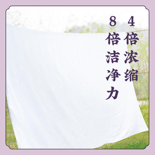 【洗衣凝珠】陈氏香谱古方洗衣香 植物精油  机洗4倍浓缩8倍洁净 K仅参与会员折扣 商品图4