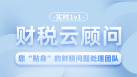 财税云顾问