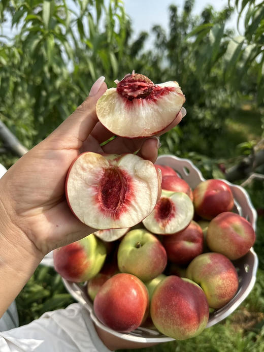 【好吃推荐】12.5元每箱  精品枣油桃（2.5斤左右） 商品图2