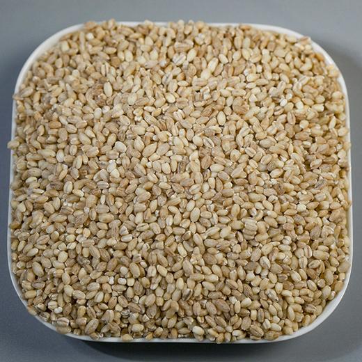 【食品】青稞米高原特产代餐粗粮五谷杂粮脱皮白青稞真空包装 商品图1