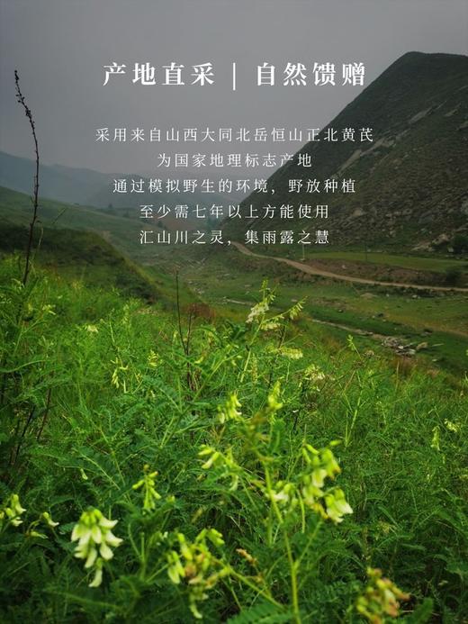 米炒黄芪 商品图1
