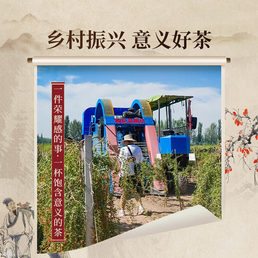 正山堂 宁夏枸杞红茶 配伍武夷高香红茶正宗骏眉中国枸杞叶罐装50g 商品图7