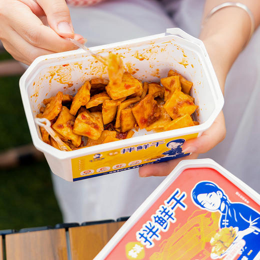 【非遗传承】 鲜拌豆干 diy解馋小零食 商品图1