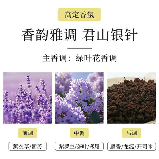 【专属】【买3送1】笙观相沐植护青蒿洗发水 多种植物复配 专利、进口成分  多效合一 长效控油去屑 商品图6