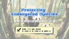 Lesson43：《Protecting Endangered Species》 商品缩略图0