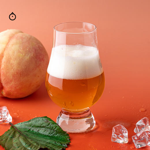 企鹅市集|重庆 立吞精酿啤酒HOPSCRAFT 紫苏杨梅 多种口味可选 商品图5