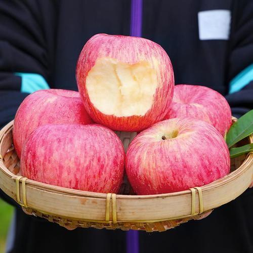 洛川红富士 1450-1550克【FY】 商品图0