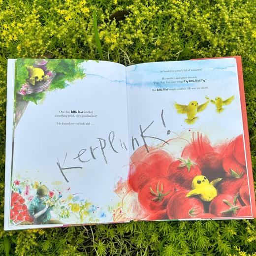 Fly. Little Bird. Fly 适合5岁+情商开发温柔冒险原版英文绘本 商品图3