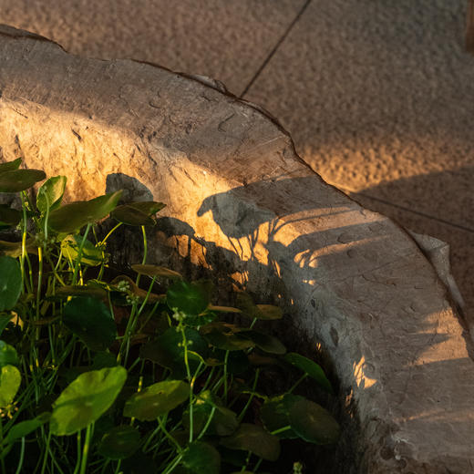 清	石雕莲瓣纹赏盆 商品图4