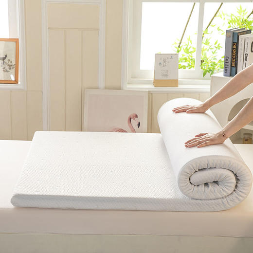 2025新品学生季针织面料凝胶记忆海绵床垫枕头+枕芯两件套 商品图2