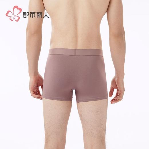 都市丽人内裤男士内裤50S水柔棉内裤明筋平角内裤男内裤FKHC32 商品图4