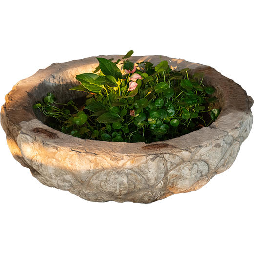 清	石雕莲瓣纹赏盆 商品图5