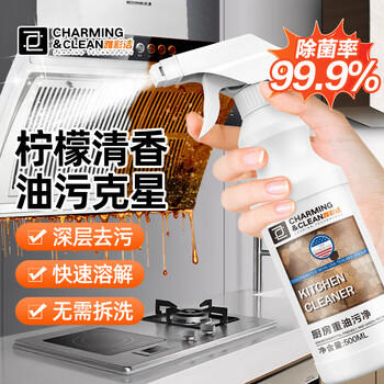 雅彩洁（YACAIJIE）油污清洁剂抽油烟机清洗剂厨房重油污净强力去油污厨房油烟净2瓶 /家庭清洁/纸品 /家庭环境清洁 /油污清洁剂 商品图0