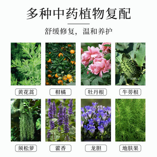 【专属】【买3送1】笙观相沐植护青蒿洗发水 多种植物复配 专利、进口成分  多效合一 长效控油去屑 商品图3