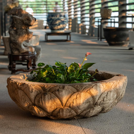 清	石雕莲瓣纹赏盆 商品图2