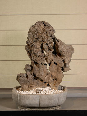 清	太湖石园林赏石配海棠形石盆