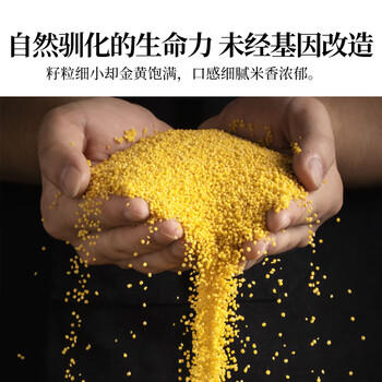 人民食品 有机黄小米1kg 小时候的老品种小黄米早餐粥米 /粮油调味 /杂粮 /谷米类 商品图3