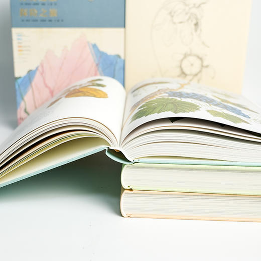 发现之旅 博物之旅 探险之旅 商品图4