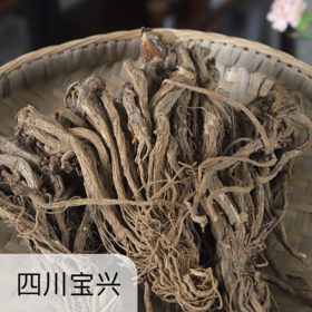 生态藏当归 | 野放无农残