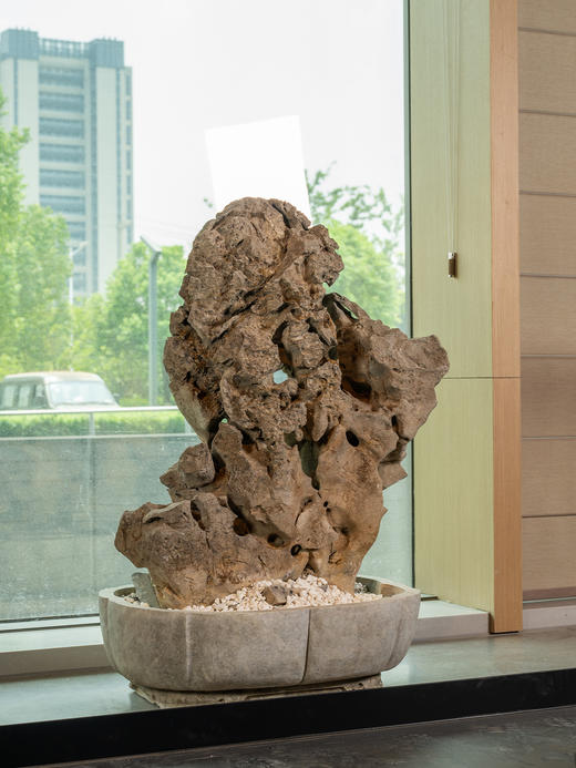 清	太湖石园林赏石配海棠形石盆 商品图4