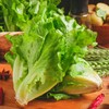 良道有机意大利生菜  有机种植当季新鲜采摘蔬菜【顺丰快递】 商品缩略图0