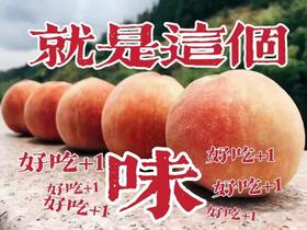 0593【国企严选，山海食材】古田水蜜桃（5斤装含箱）
