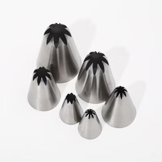 8齿不锈钢裱花嘴6件套  型号30/21/E08/D42/1C/C8 曲奇奶油蓝莓山药裱花嘴 商品图0