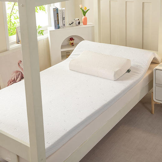 2025新品学生季针织面料凝胶记忆海绵床垫枕头+枕芯两件套 商品图1