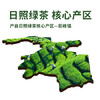 日照绿茶2025新茶百满有机绿茶浓香型板栗香一级500g口粮茶桶装山东特产 /水饮冲调 /茗茶 /绿茶 商品缩略图5