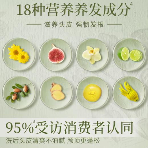 Na奈十八本香柠檬生姜洗发水固发洗头膏蓬松洗发露护发素套装 商品图7