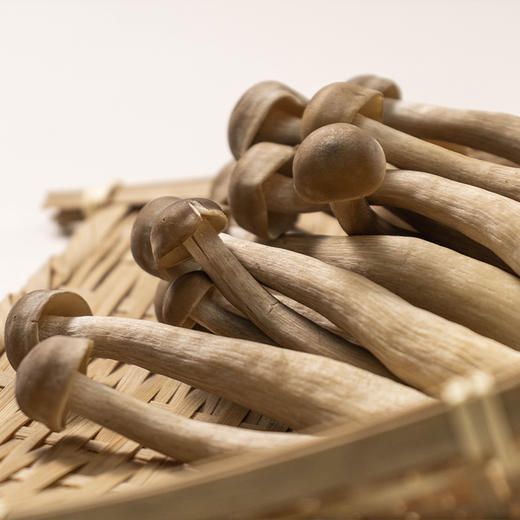 有机蔬菜组合 银耳紫甘蓝西兰花胡萝卜鹿茸菇 商品图4