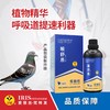 【喉舒易】100ml赛鸽呼吸（爱丽丝鸽药） 商品缩略图0