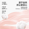 【商场同款】熳洁儿 短袖短裤套装可爱花边领套头舒爽棉女士家居服25203236 商品缩略图2