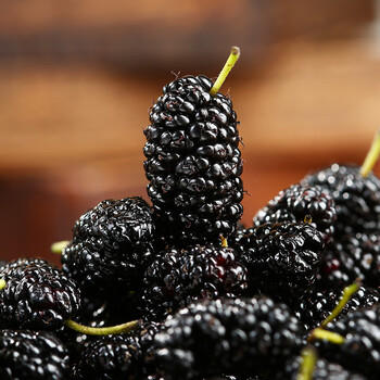 楼兰蜜语 黑桑葚干225g*2 罐装 蜜饯果干 桑果桑椹子 无沙 /休闲食品 /蜜饯果干 /其他蜜饯果干 商品图0