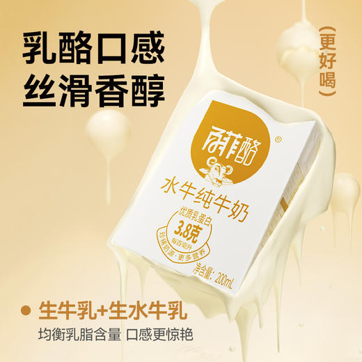 百菲酪  3.8g 水牛纯牛奶 200ml 商品图1