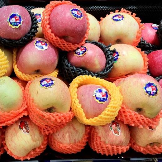 洛川红富士 1450-1550克【FY】 商品图1