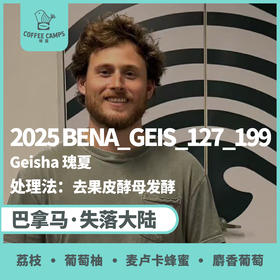 25产季巴拿马 失落大陆 柏林娜庄园 BENA_GEIS_127_199 瑰夏 去果皮酵母发酵 （生豆）空运批次
