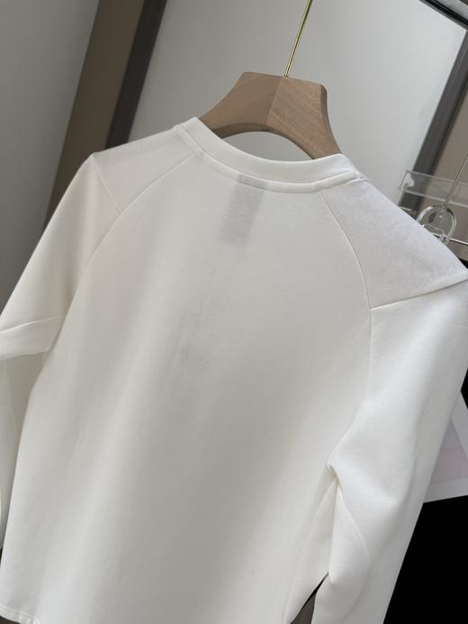 点此购买 迪桑特春秋季男士圆领长袖运动衫 xj 326539 商品图6