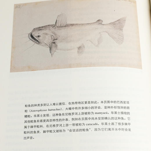 发现之旅 博物之旅 探险之旅 商品图6