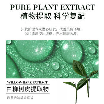域发 白柳皮控油平衡洗发露300ml洗发水侧柏叶京东自营旗舰店洗发膏 /个人护理 /洗发护发 /洗发水 商品图3