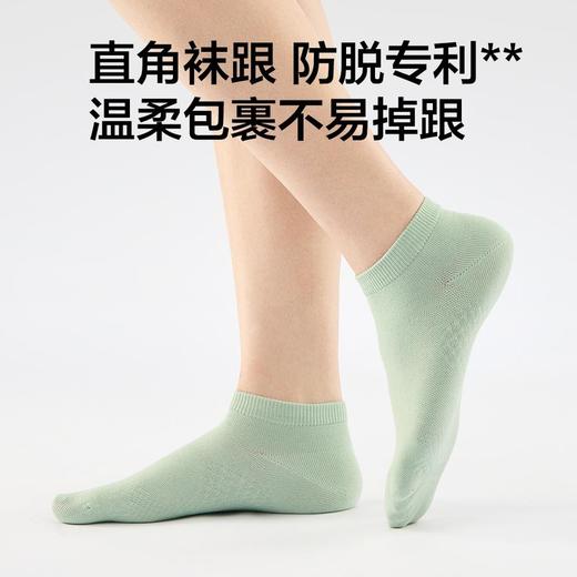 MM 山姆 Member's Mark 吸湿速干棉女短袜 8双装 混色 商品图6