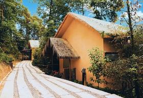 独栋私汤别墅·森林避暑圣地【都江堰·夕野山谷森林酒店】