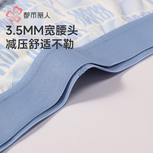 都市丽人内裤男士内裤40S棉拉架内裤明筋平角内裤男内裤FKHC46 商品图6